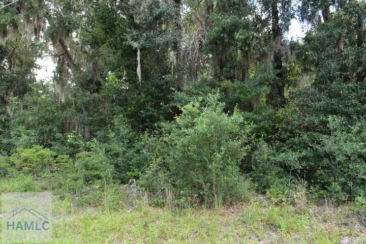 Property Photo:  Lot 42 Japonica Drive  GA 31320 