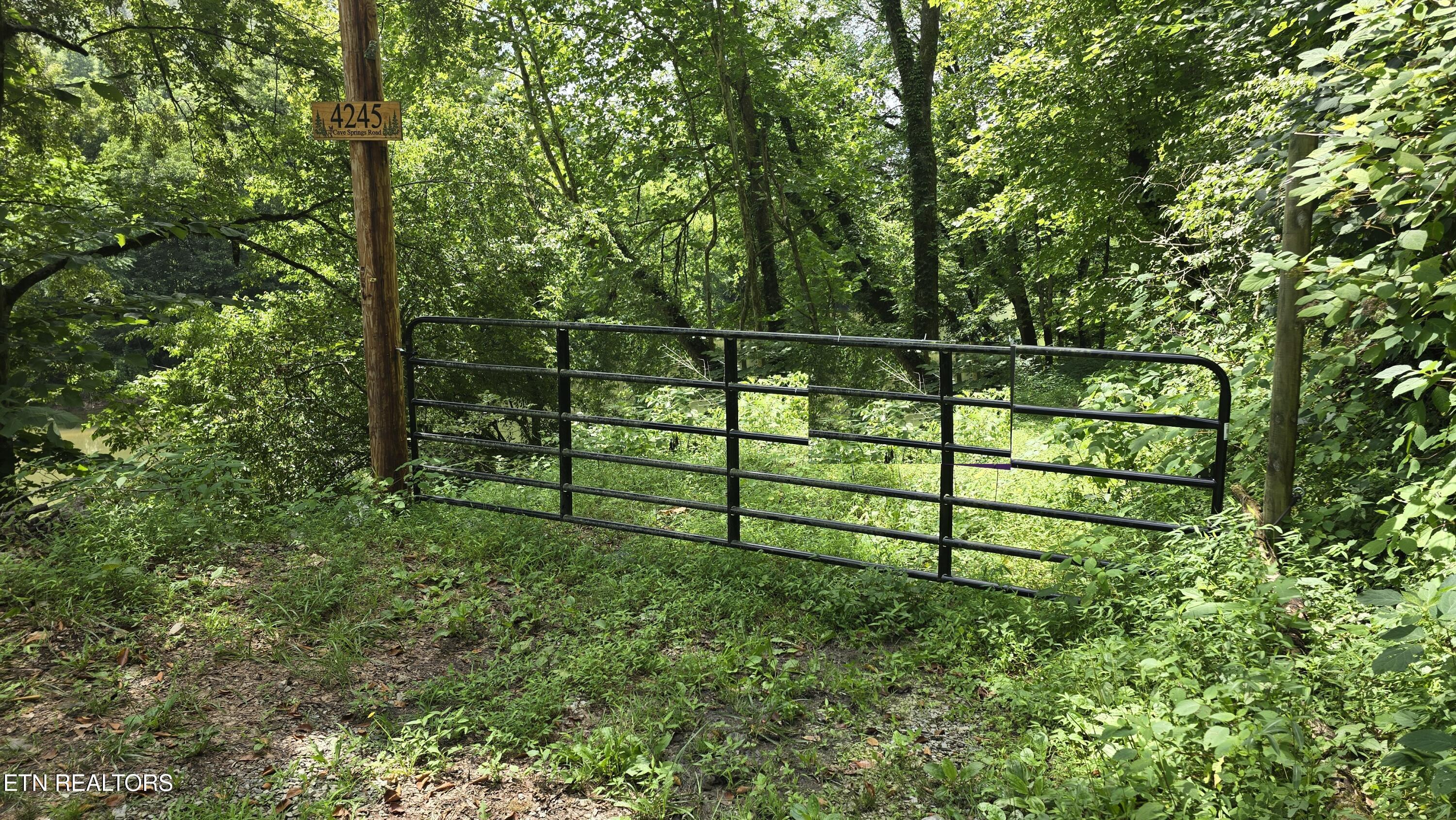 Property Photo: 4245 Cave Springs Rd TN 37879