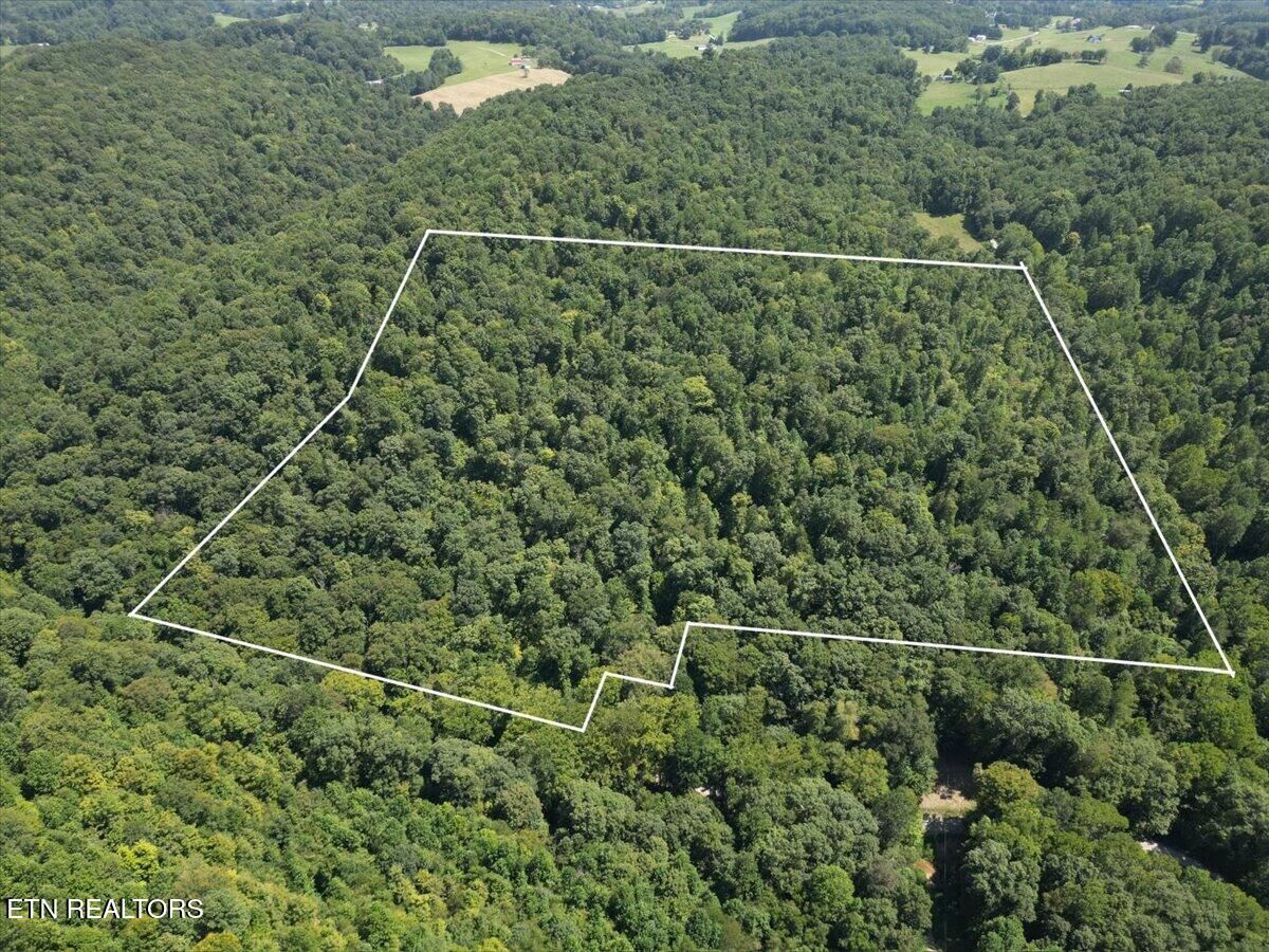 Property Photo: Lonesome Vally Rd Rd TN 37879