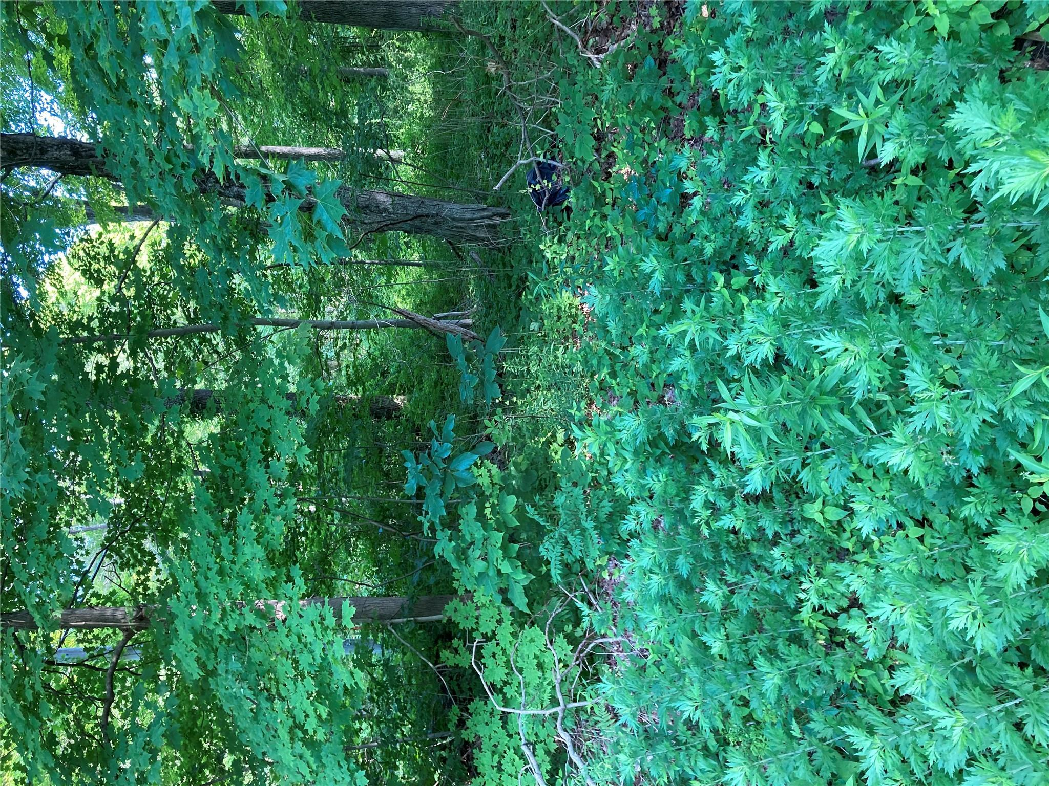 Property Photo: Adam Wagner Lane NY 10541