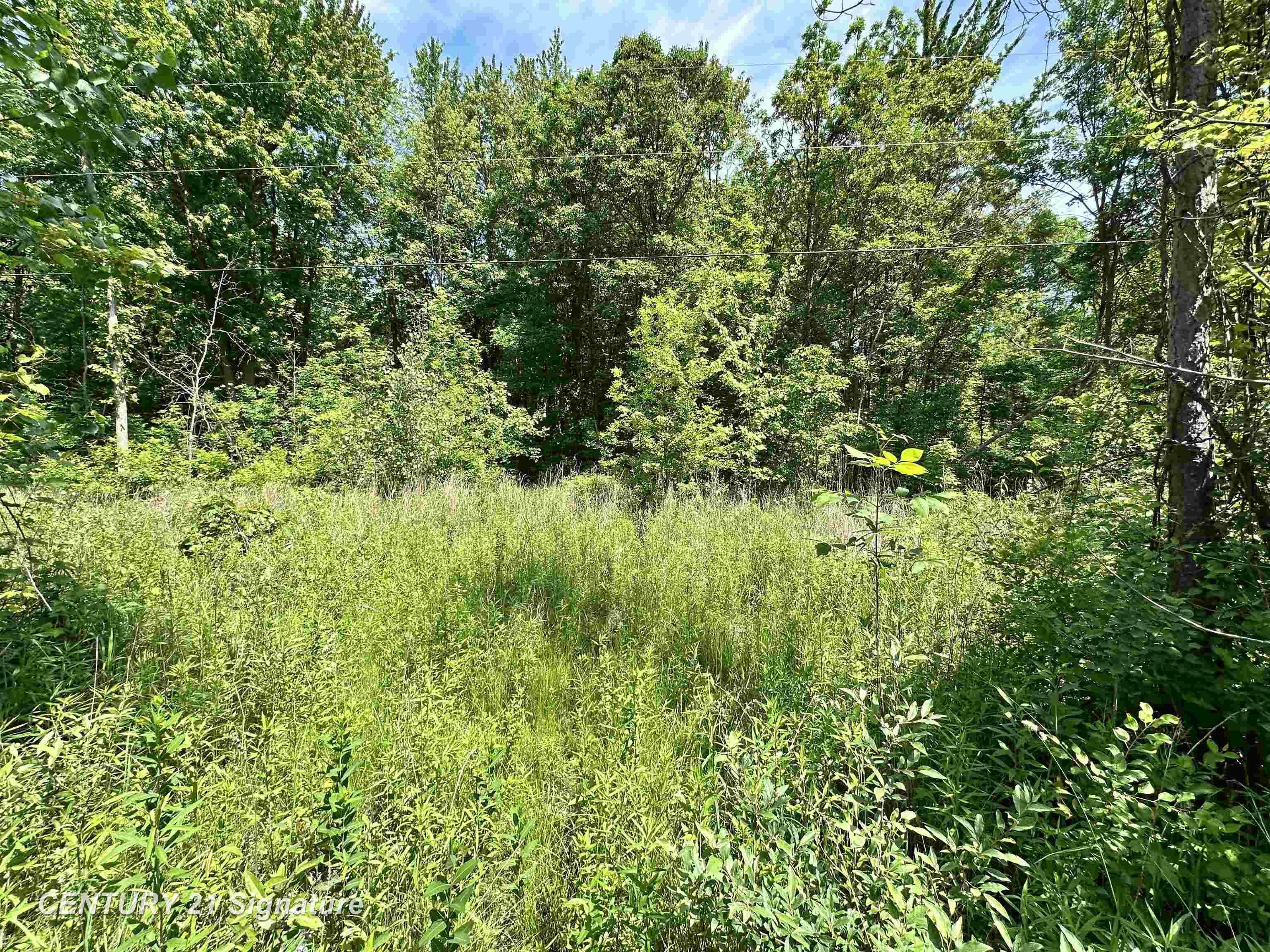 Property Photo: Vl Dale Road MI 48612