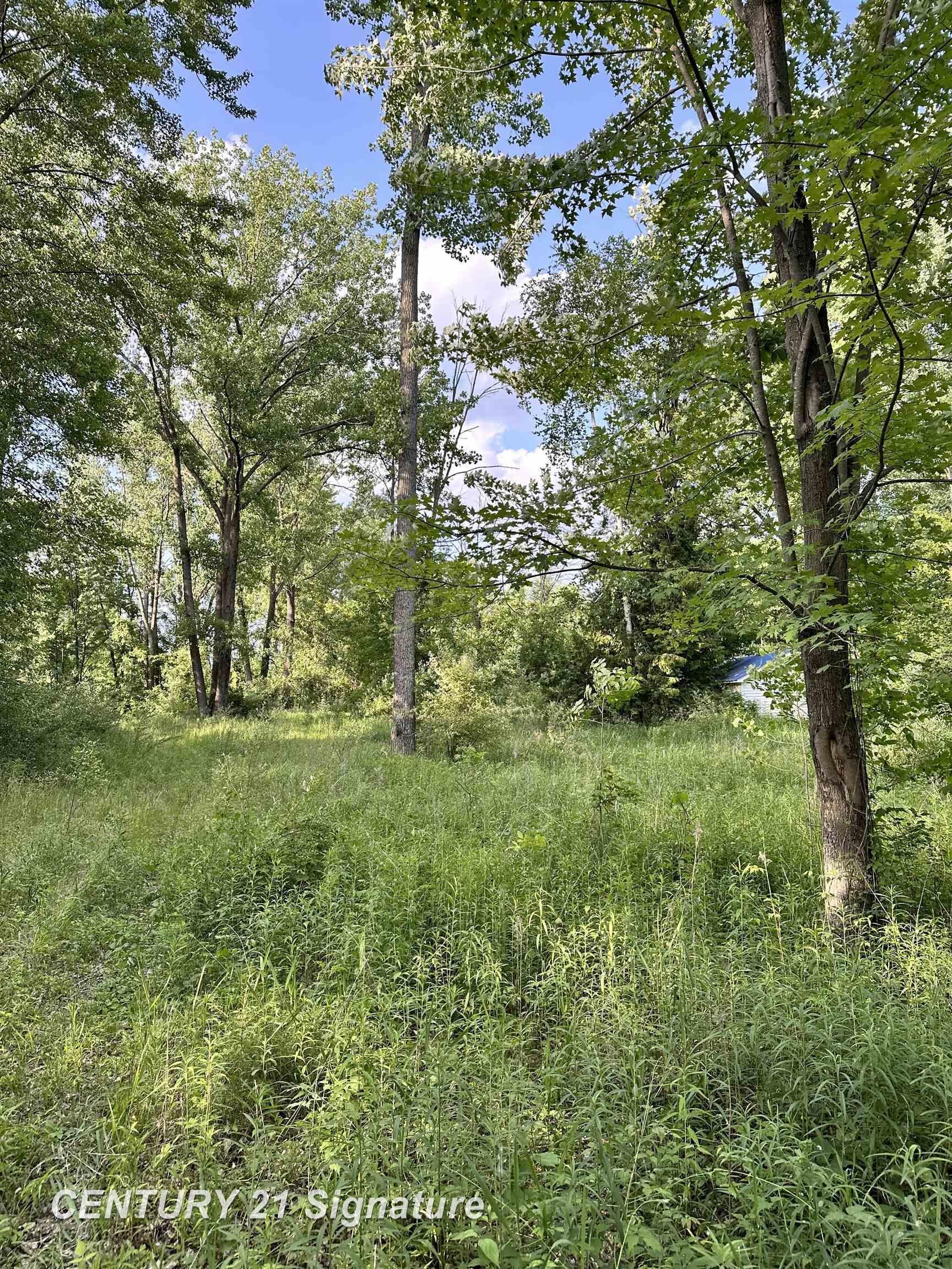 Property Photo: 4020 Wieman Road MI 48612
