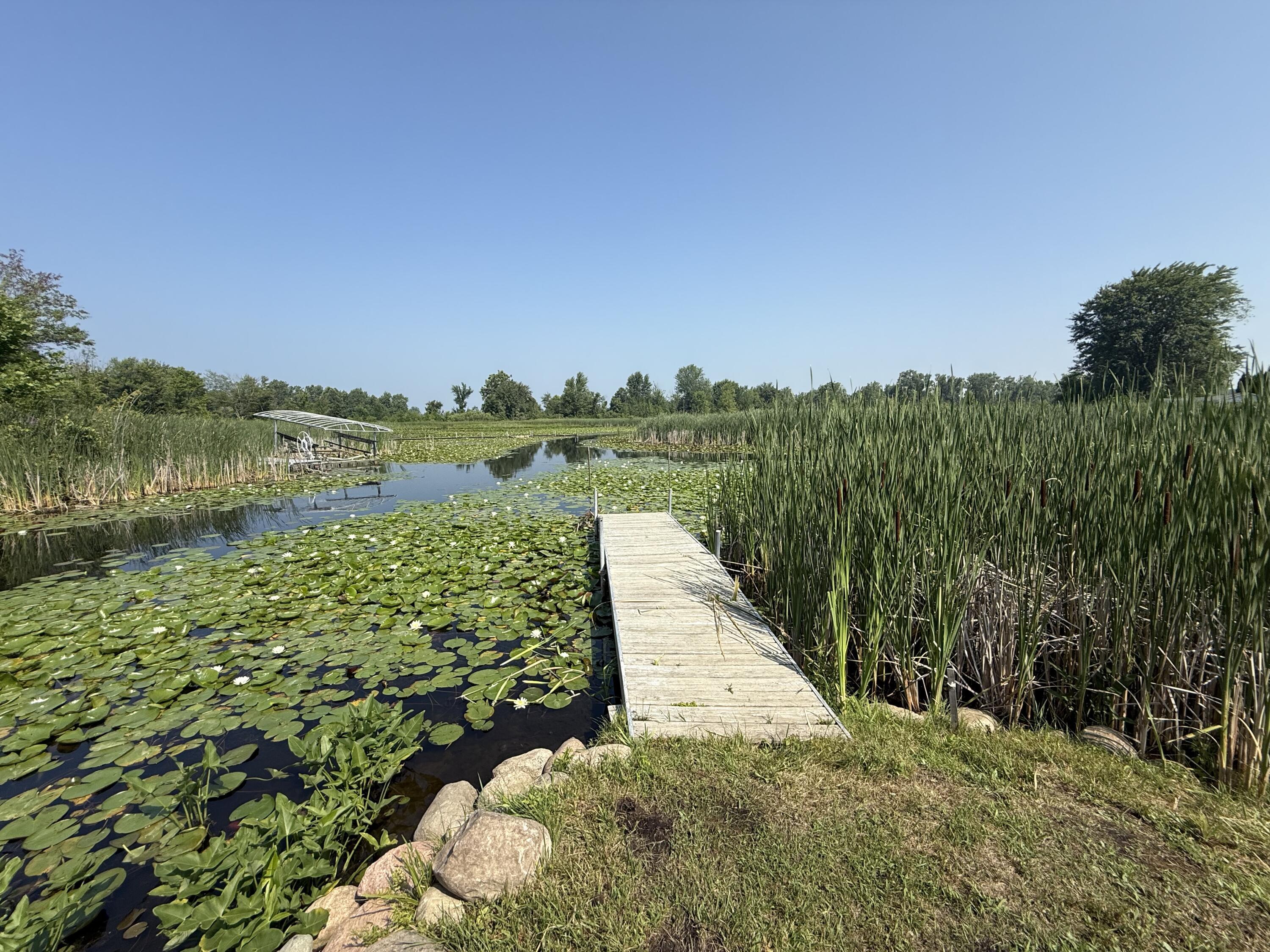 Property Photo: -- Leaf Lane MI 49036