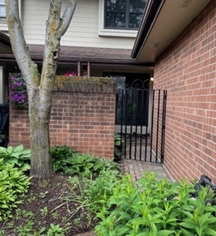 Property Photo: 234 W Grant Village Street IL 60521