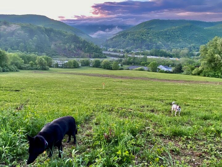 Property Photo: 12129 N Scenic Hwy VA 24314