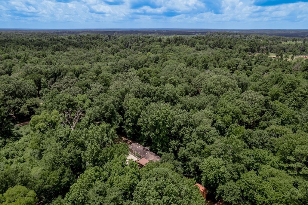 Property Photo: 365 County Road 336 TX 75961