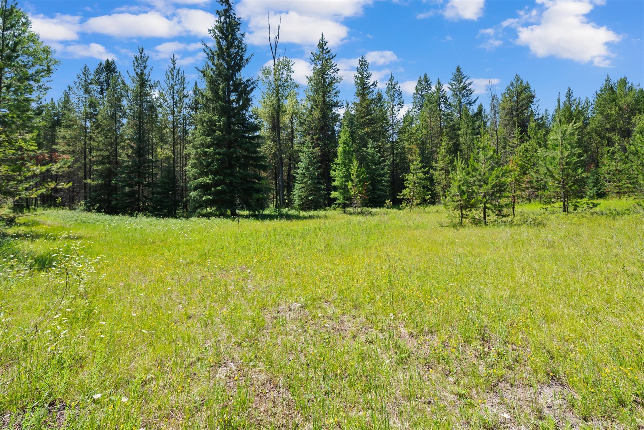 Property Photo: 298 Kuzmic Lane MT 59913