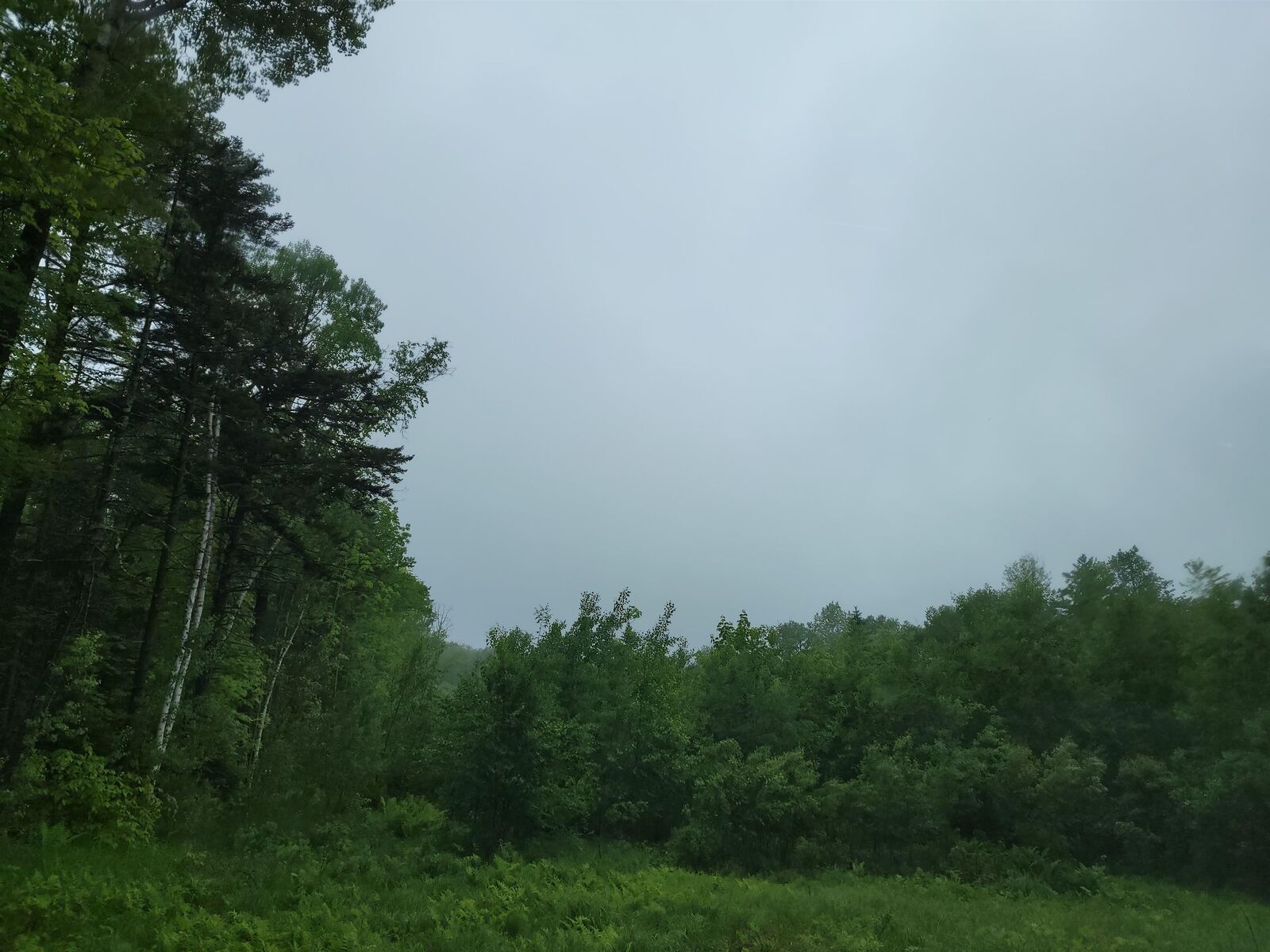 Property Photo: 105 Alpenhof Road NH 03574