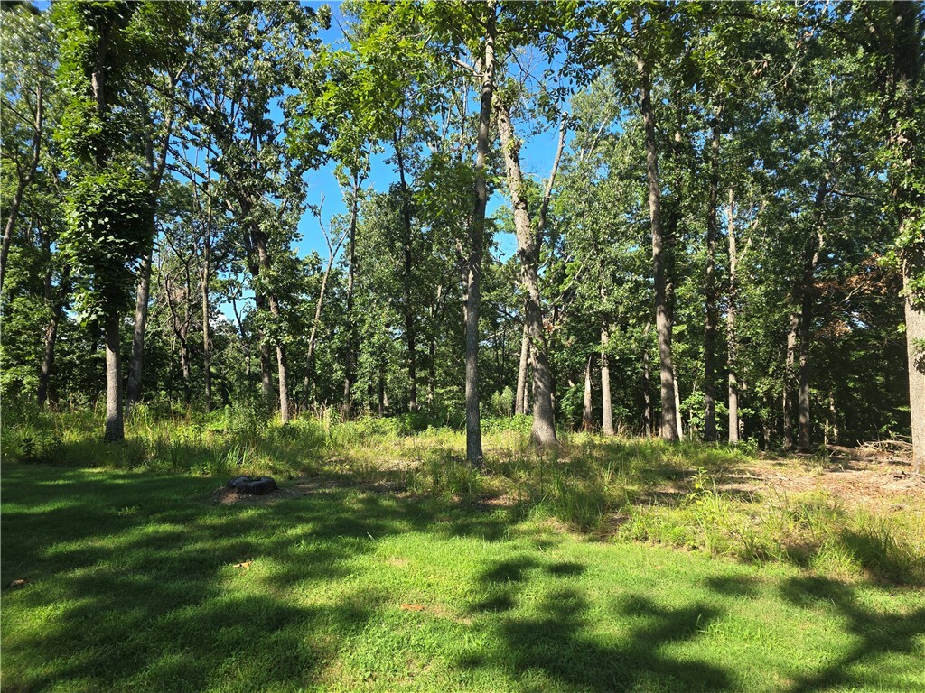 Property Photo:  Esculapia Hollow Road Lot 12  AR 72758 