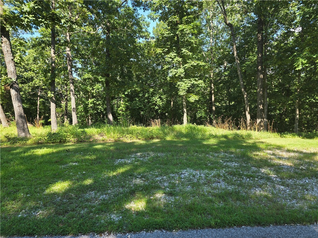 Property Photo:  Esculapia Hollow Road Lot 11  AR 72758 