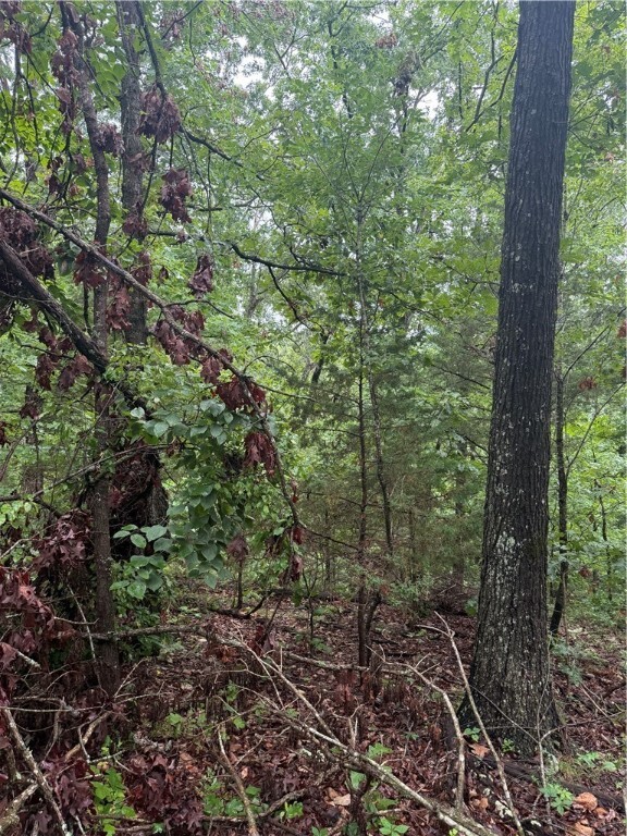 Lot 7, Block 5 Banff Drive  Bella Vista AR 72715 photo