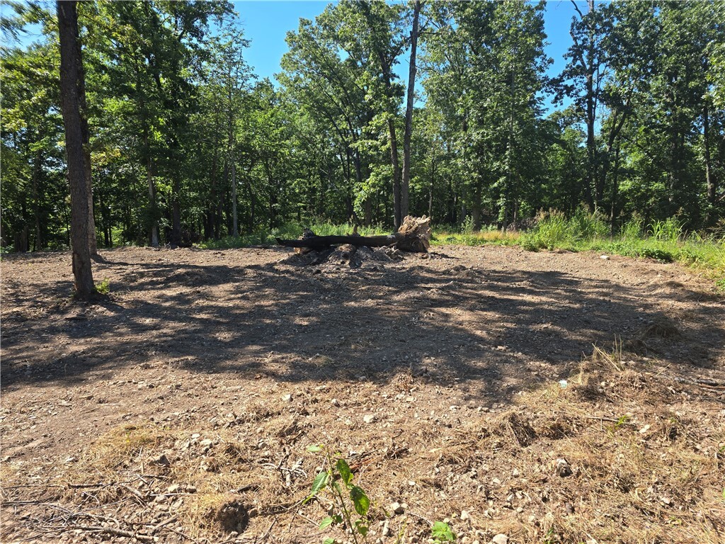 Property Photo:  Esculapia Hollow Road Lot 14  AR 72758 