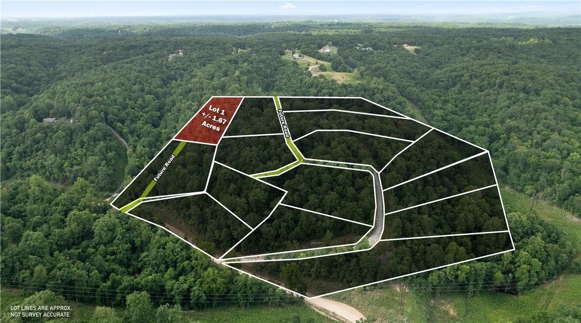 Esculapia Hollow Road Lot 1  Rogers AR 72758 photo