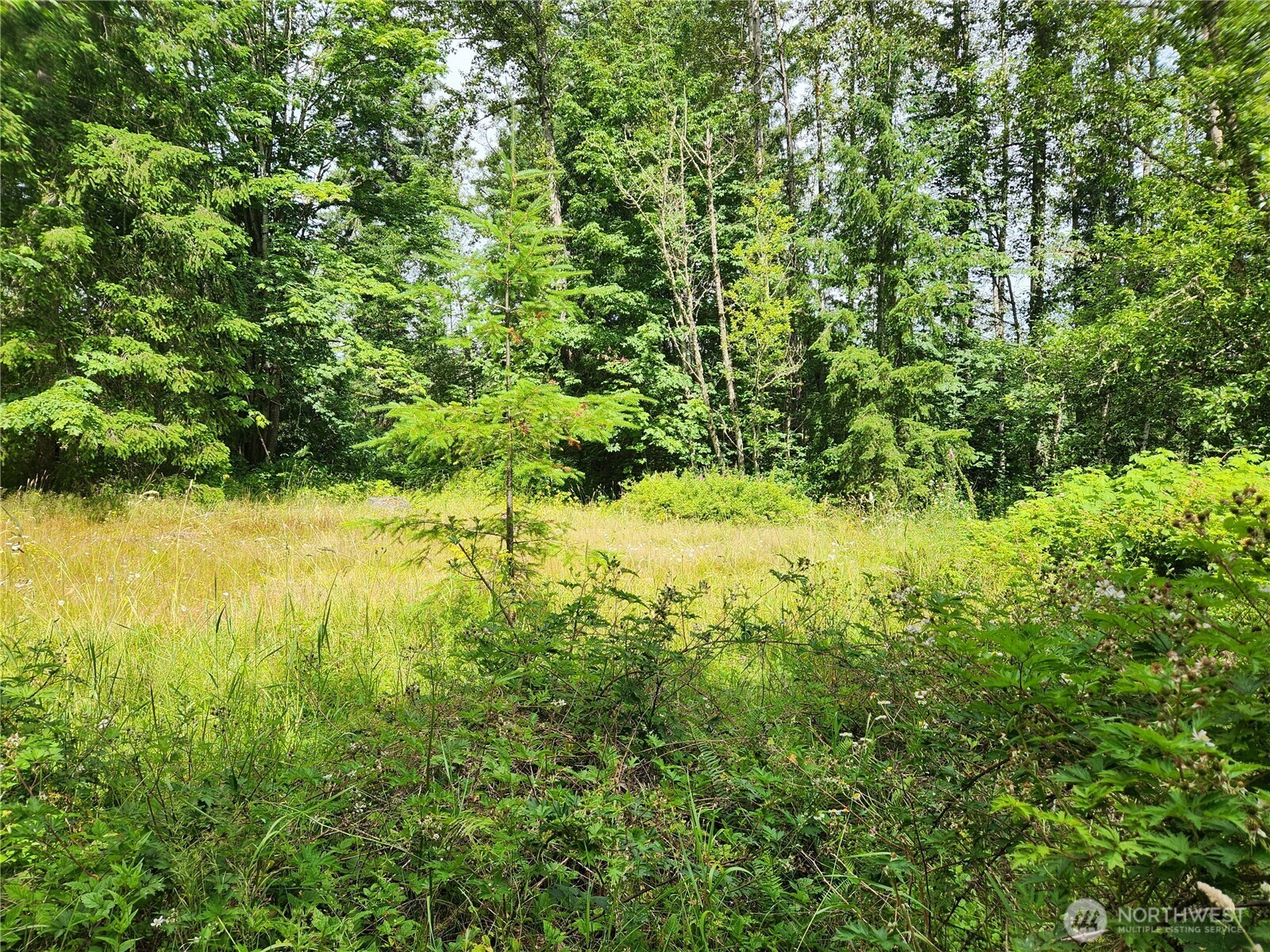 Property Photo: 408 Approx 239th Avenue NE WA 98074