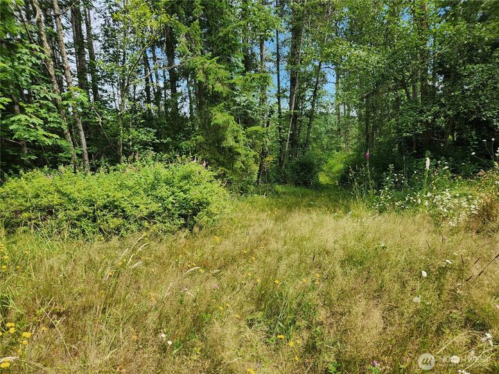 Property Photo:  4 Xx  239th Avenue NE  WA 98074 