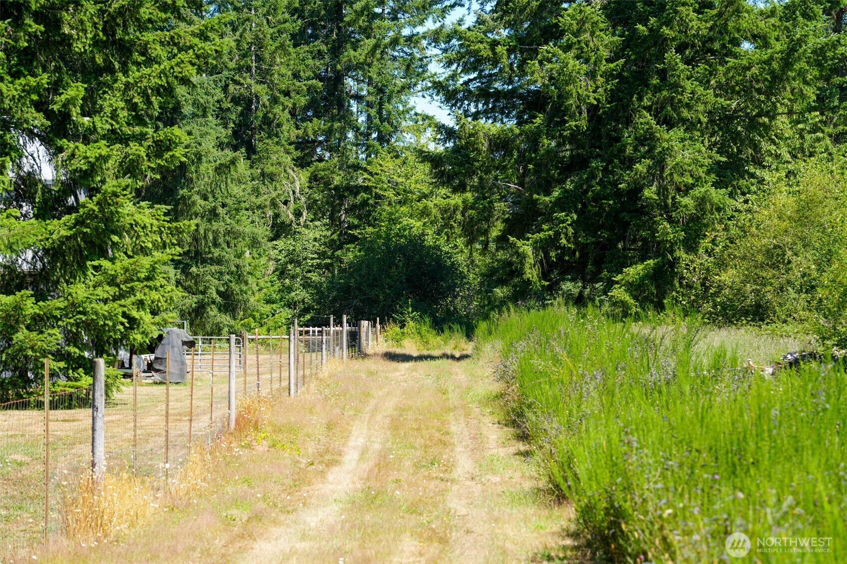 Property Photo:  243  Hawkins Road  WA 98596 