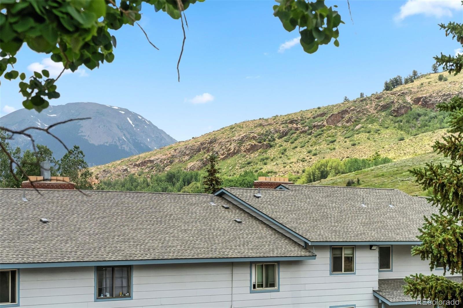 Property Photo:  675 Straight Creek Drive 301  CO 80435 