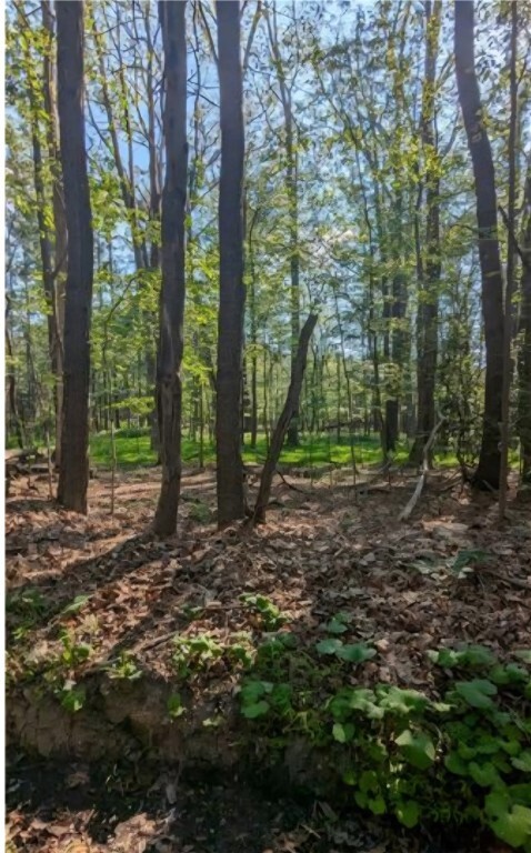 4 Horse Shoe Bend Rd  Bullskin Twp PA 15610 photo
