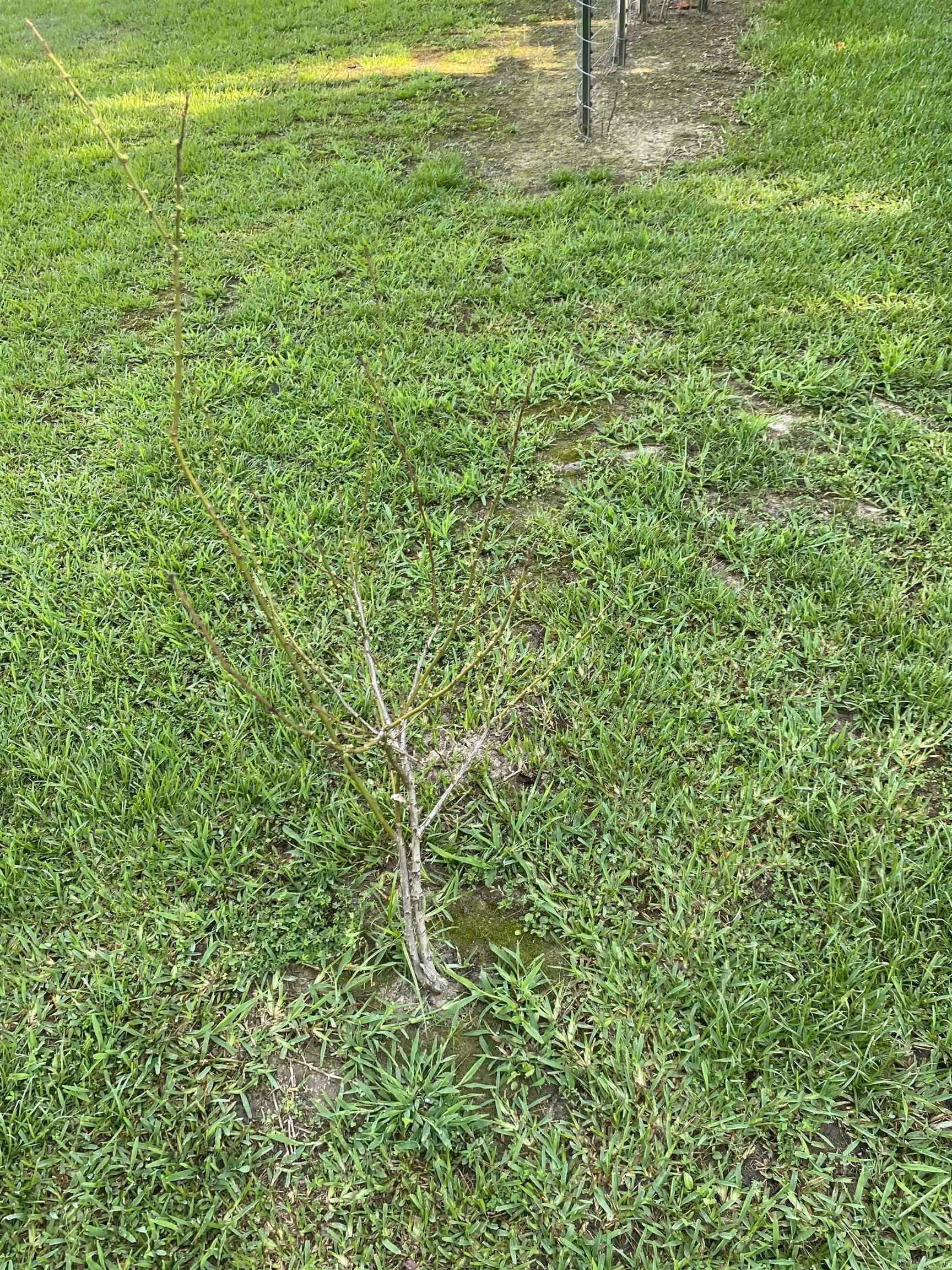 Property Photo: 0 Lee Ave AR 72034
