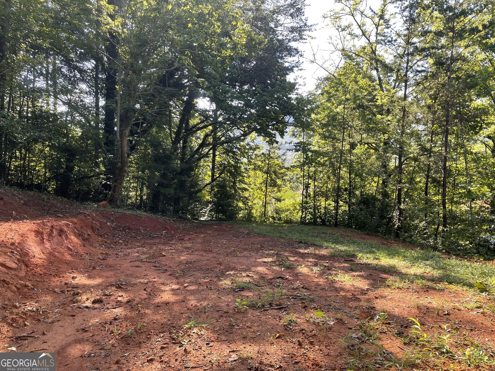 Property Photo:  0 Green Street  GA 30525 