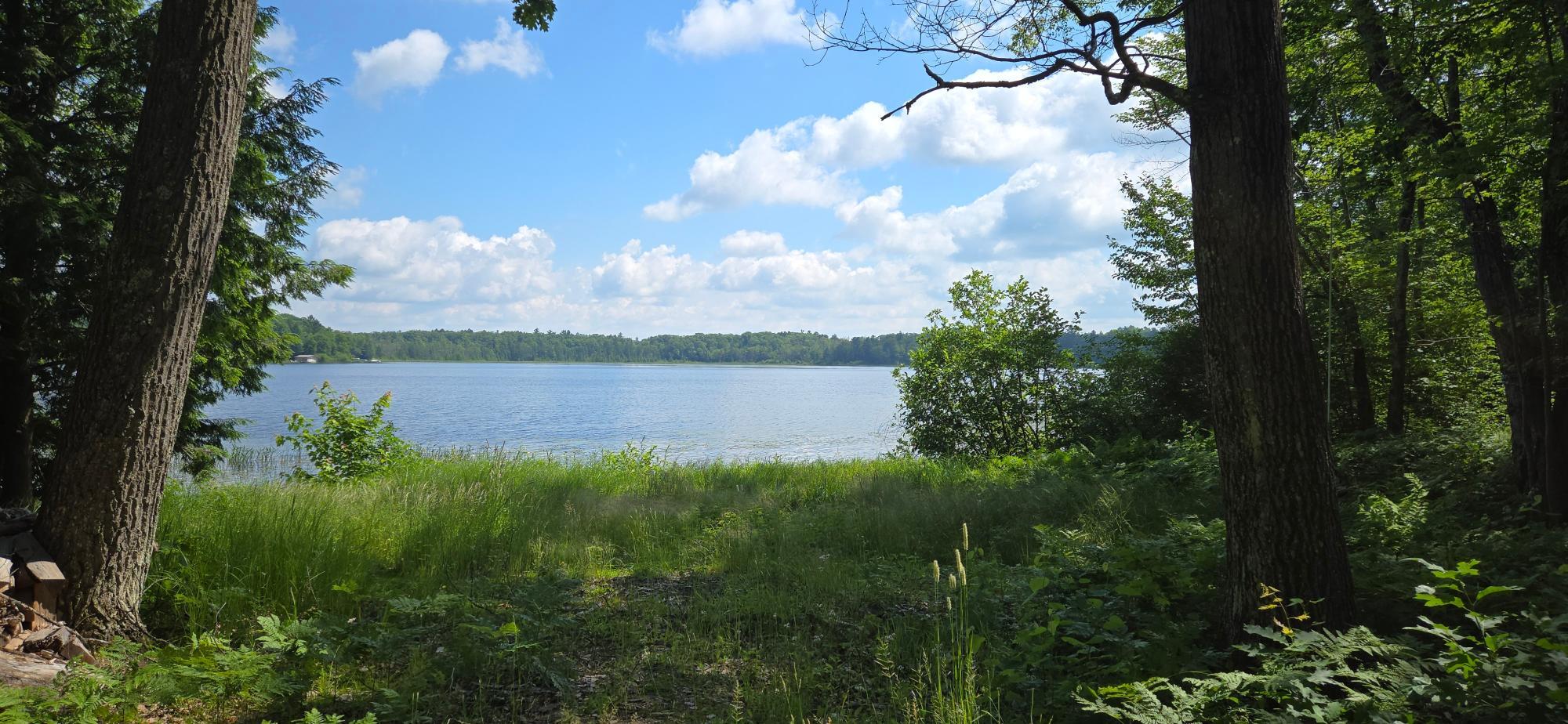 Property Photo: Lot 7 Bolton Lake Ln W WI 54538