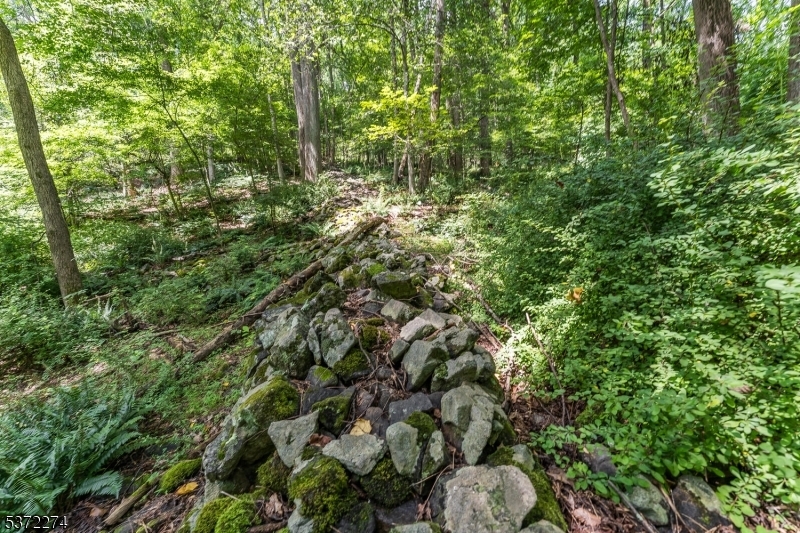 Property Photo: 0 Sweet Hollow Road NJ 08848