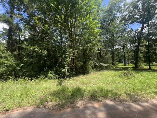 1781 Cr 460  Etoile TX 75944 photo