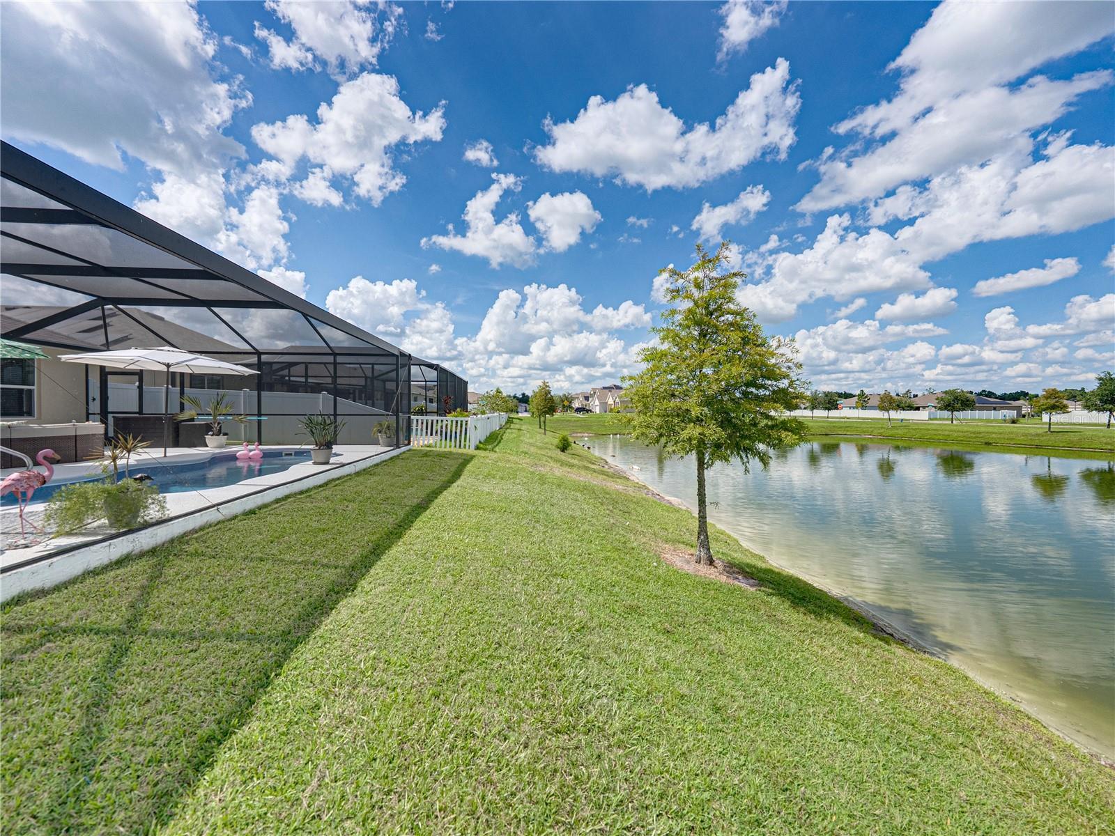 Property Photo: 35668 Burma Reed Drive FL 33541