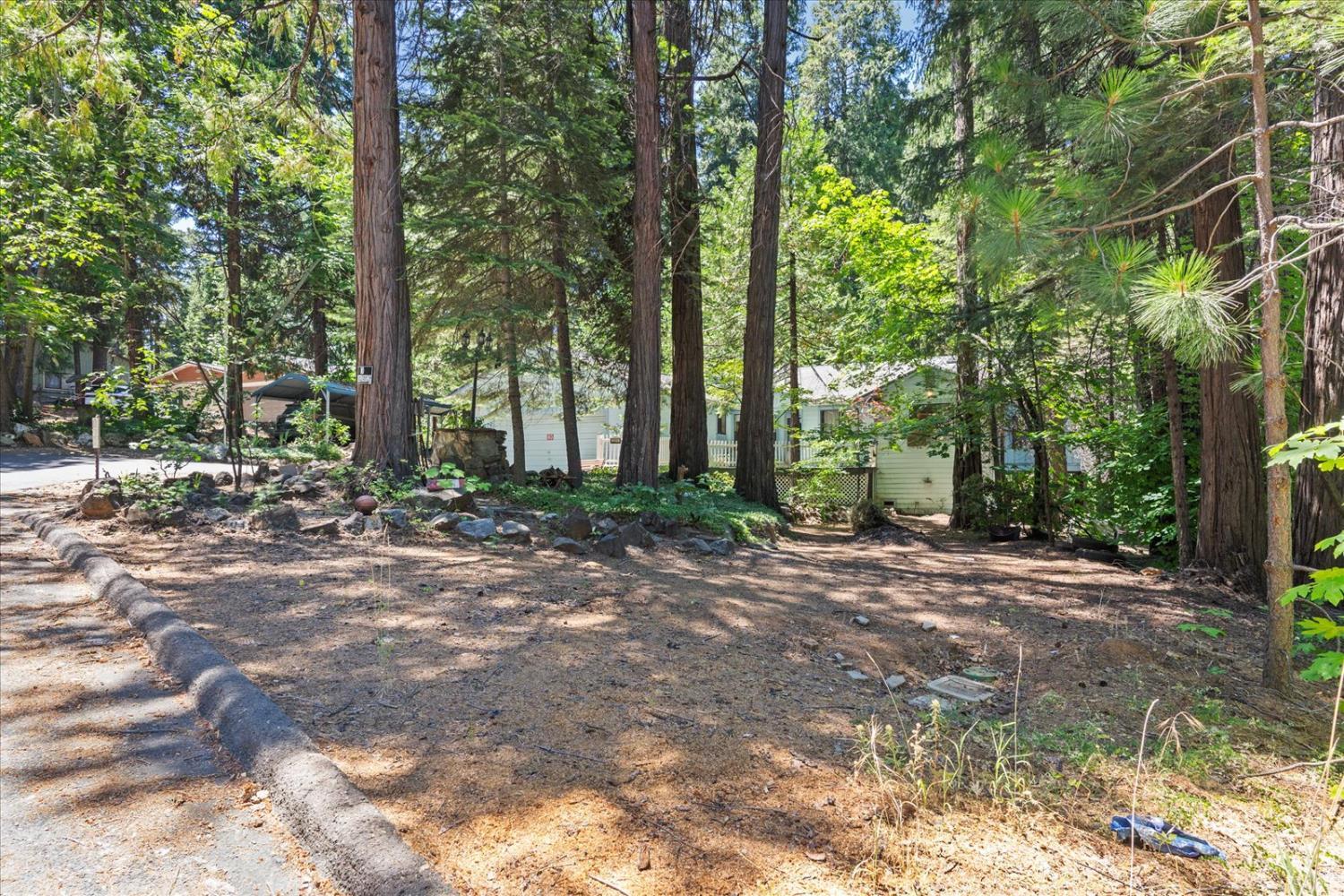 Property Photo:  3205 Castlewood Circle  CA 95726 