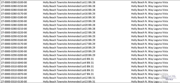 Property Photo:  0 N Holly Beach Rd.  TX 78578 