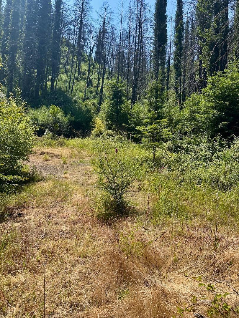 Property Photo:  678 Swanton Road  CA 95017 