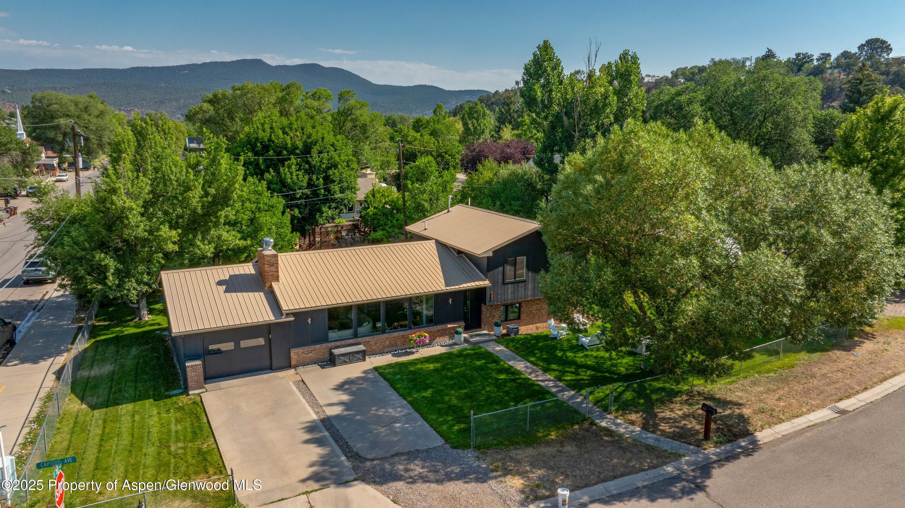 Property Photo:  189 Capitol Avenue  CO 81623 