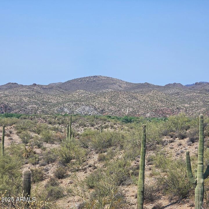 Property Photo:  5xxxx N 292nd Avenue 0  AZ 85390 