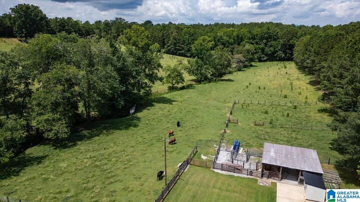 Property Photo:  0 County Road 19 0  AL 36264 