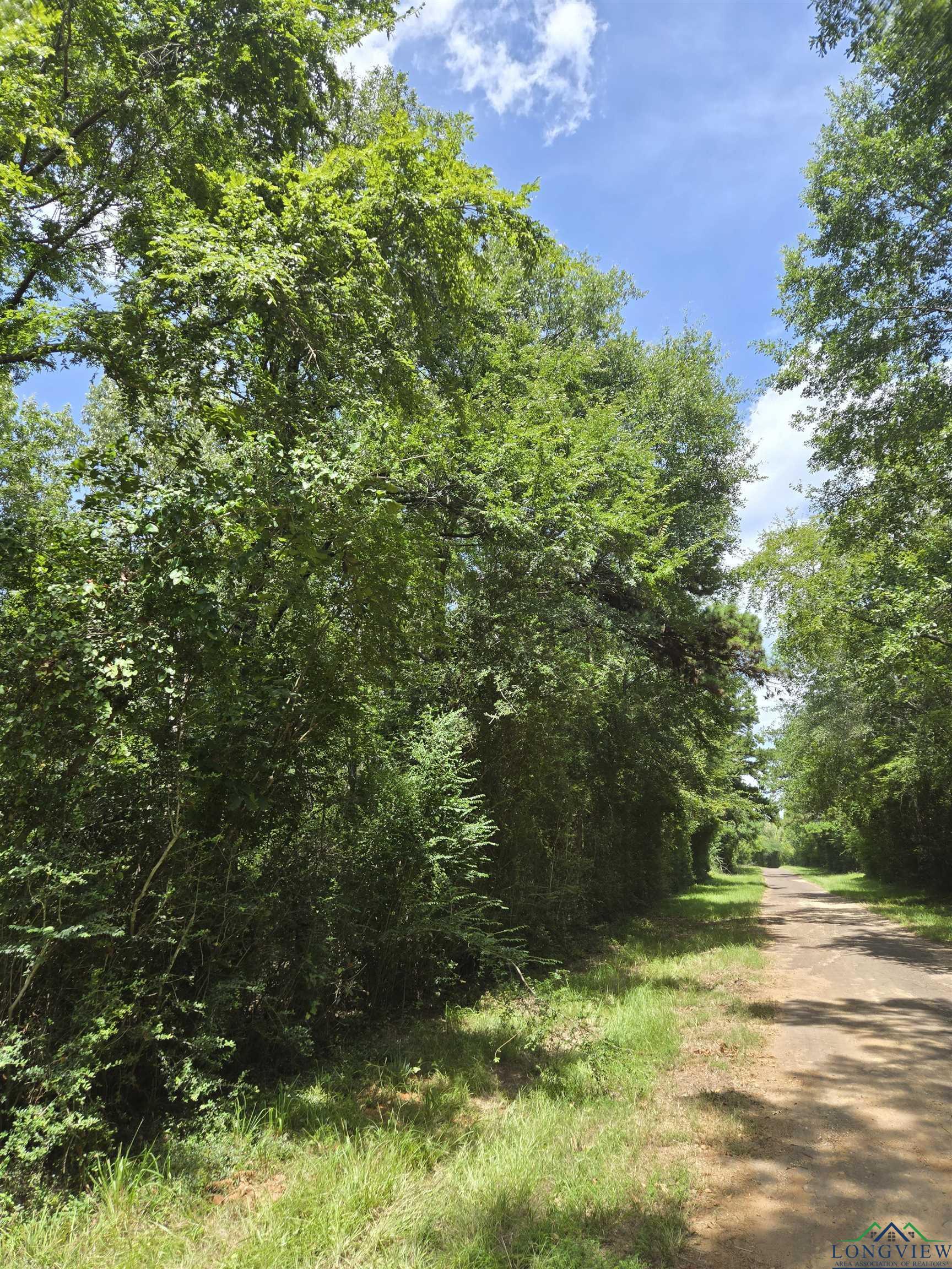 Property Photo: Tbd Cr 154 TX 75601