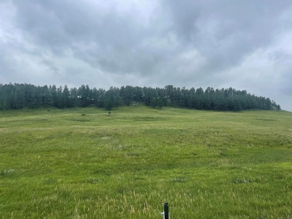 Property Photo: Tbd Murphy Rd SD 57744
