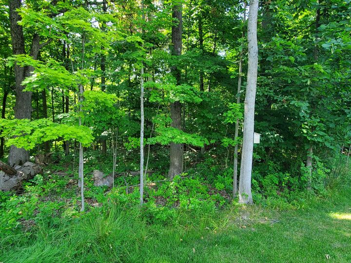 111 Depot Hill Court  Allegan MI 49010 photo