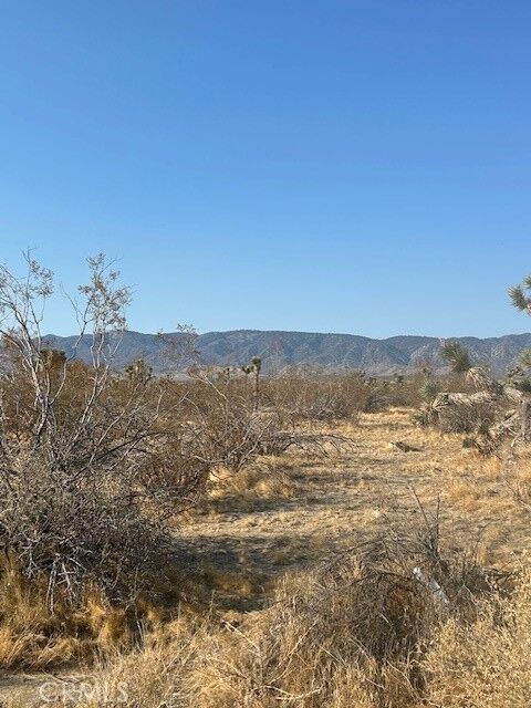 Property Photo:  0 E Ave W 8 Street  CA 93591 