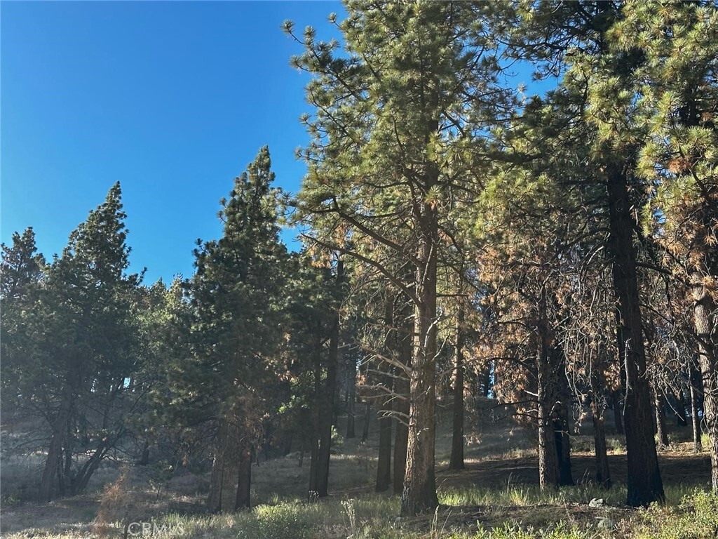 Property Photo:  1 Crest Forest Drive  CA 92322 