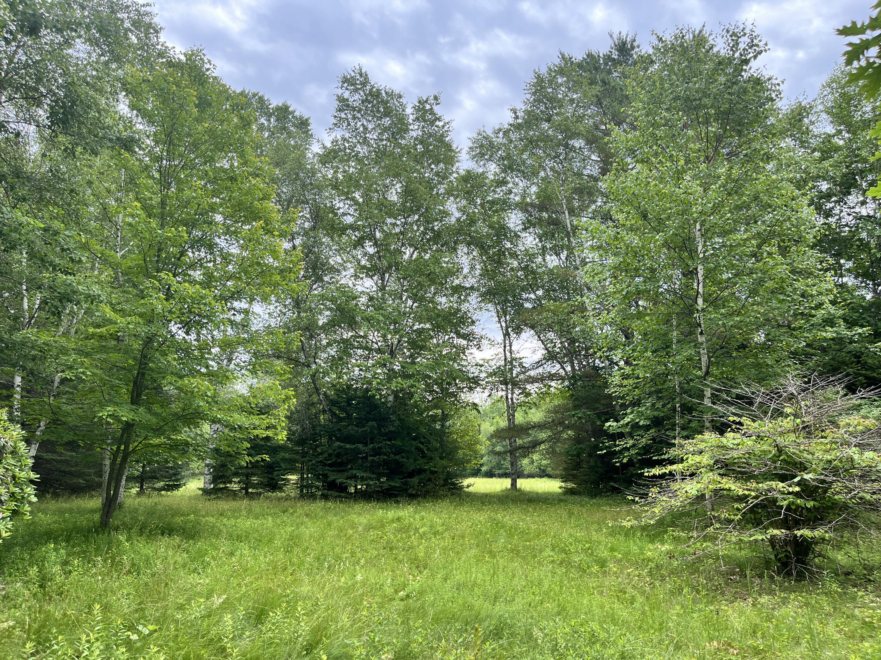 Property Photo:  0 Fish Point Road  ME 04640 