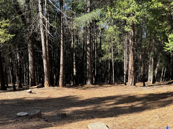 5771 Lupin Lane  Pollock Pines CA 95726 photo