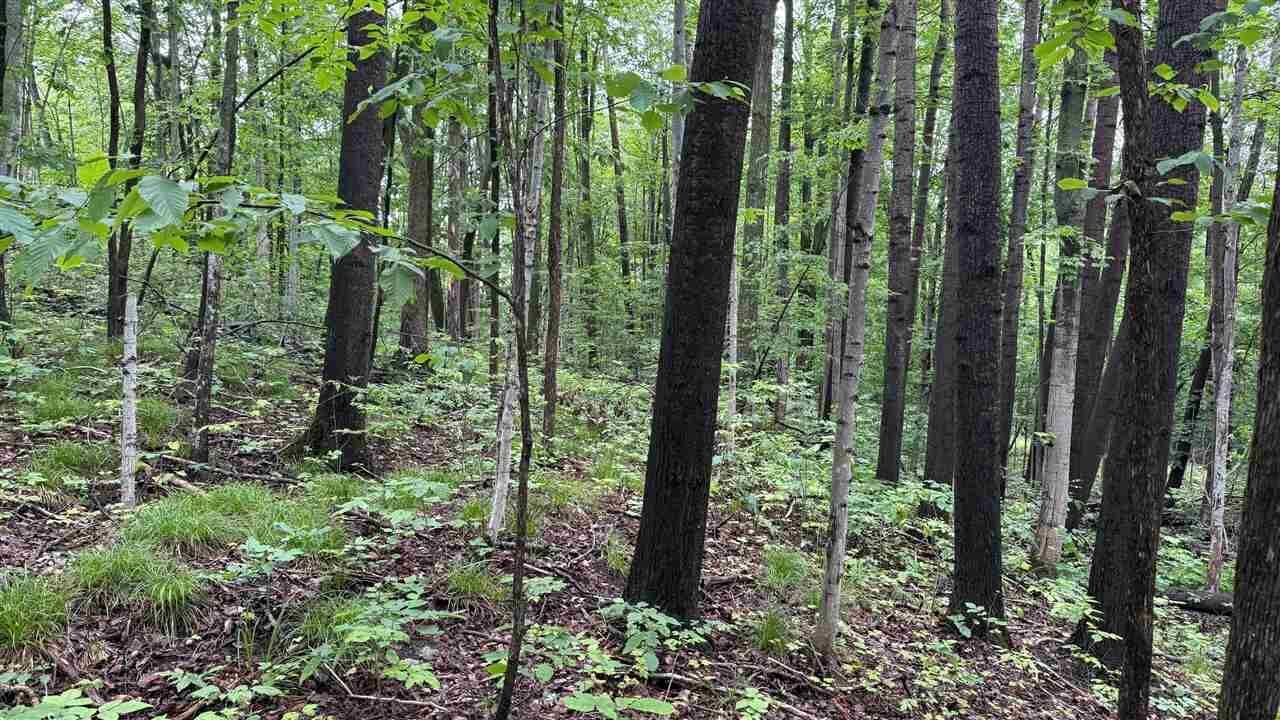 Property Photo:  Vl Pincherry  MI 49720 