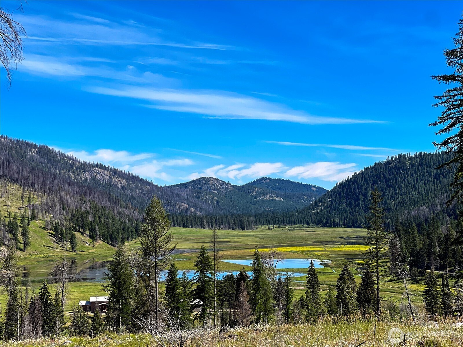 Property Photo:  0  Bonaparte Lake Road  WA 98859 
