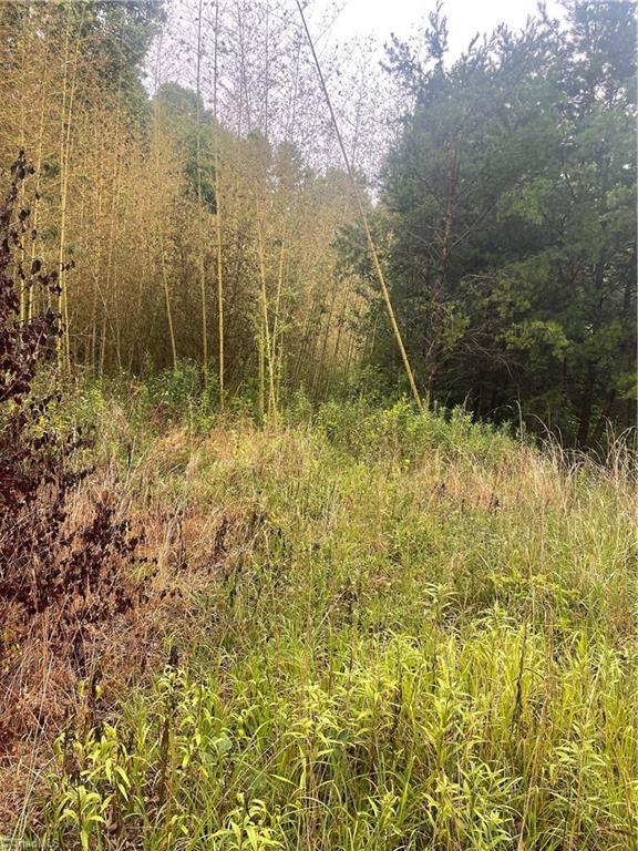 Property Photo:  Tbd Windy Ridge Road  NC 28659 