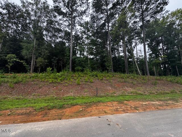 Property Photo: 331 Meadow Walk Drive NC 27526