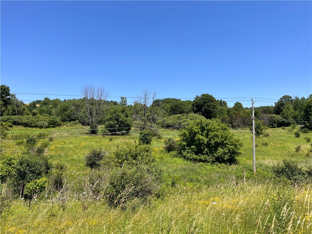 Property Photo: 0 Yocum Road NY 14572