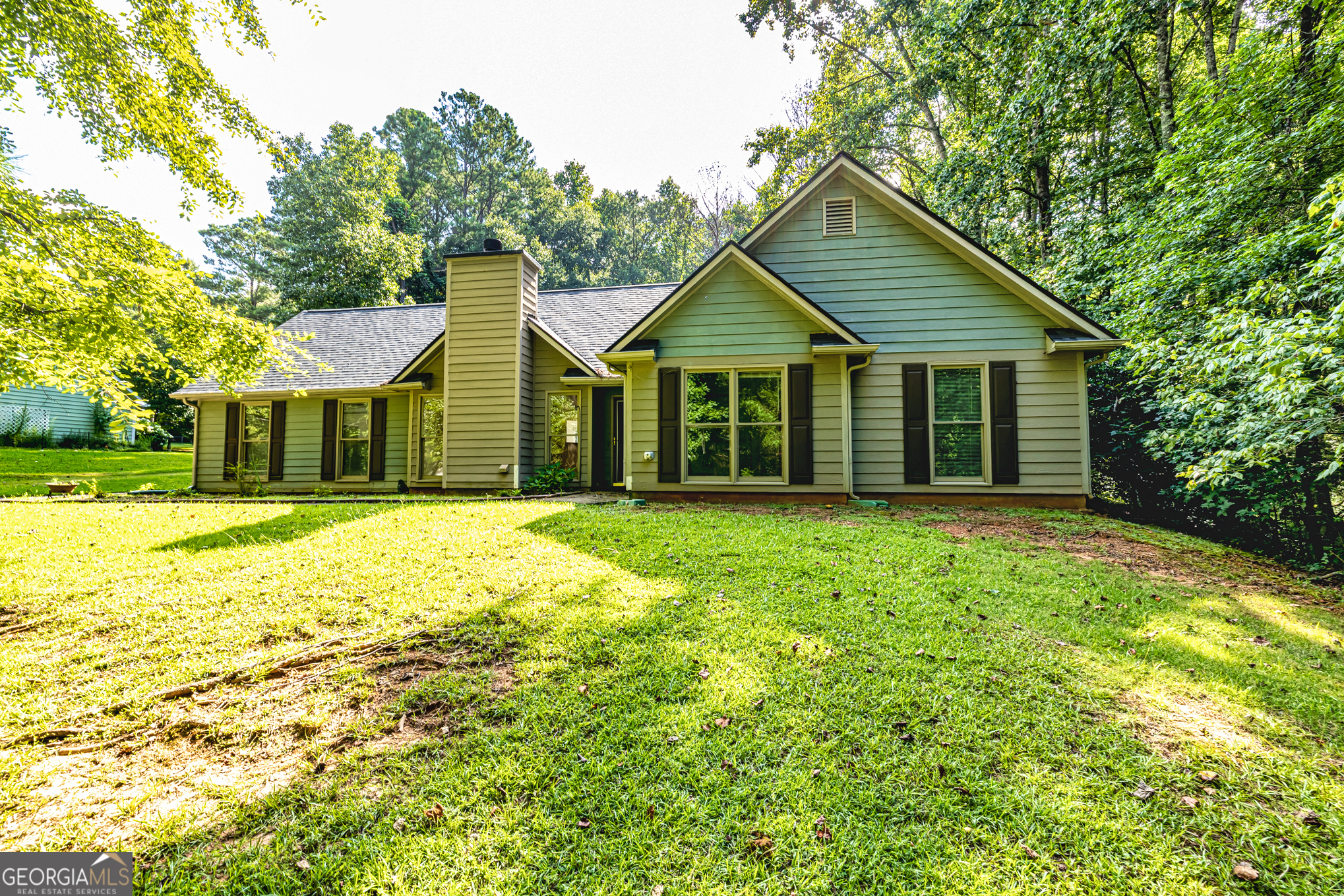Property Photo:  173 Widewater Drive  GA 30265 
