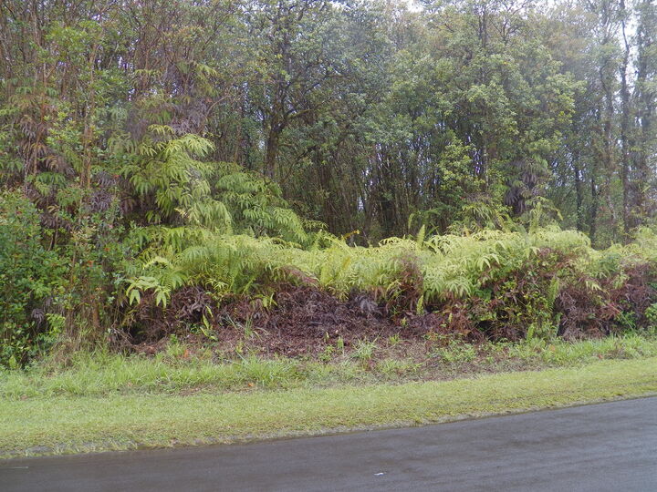 Property Photo: Pikake St HI 96771