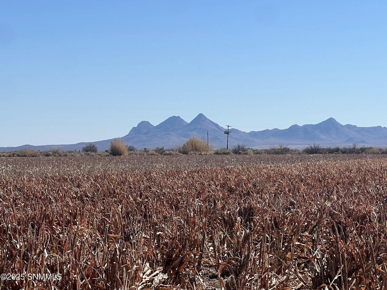 Property Photo:  990 SW New Frontier Drive  NM 88030 