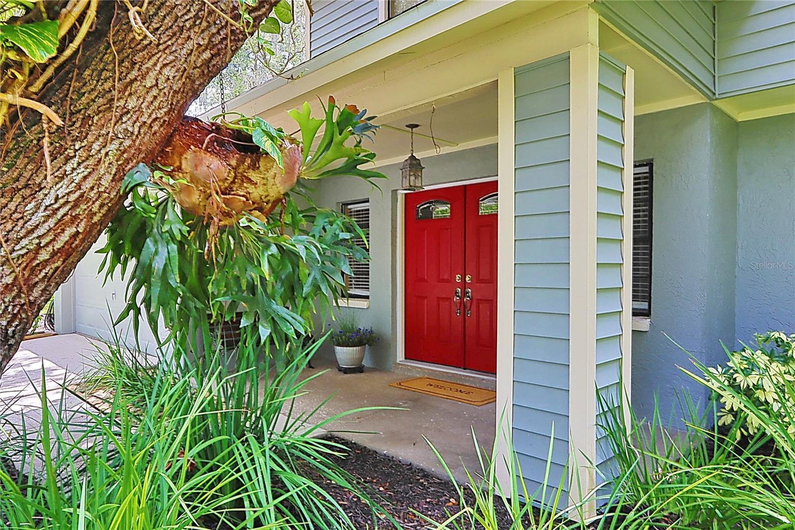 Property Photo: 16813 Rolling Rock Drive FL 33618